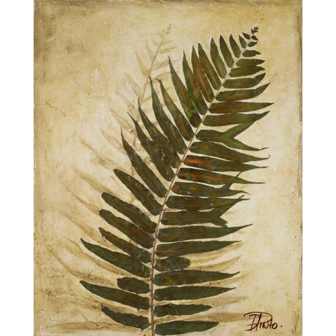 Ferns II Black Modern Wood Framed Art Print by Pinto, Patricia