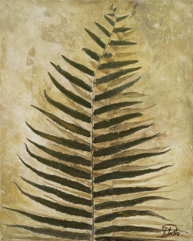 Ferns III Black Ornate Wood Framed Art Print with Double Matting by Pinto, Patricia