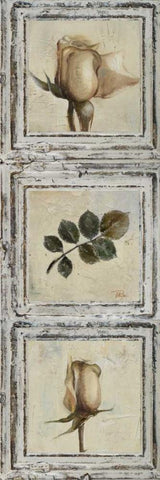 Flowers and Leaves III White Modern Wood Framed Art Print with Double Matting by Pinto, Patricia