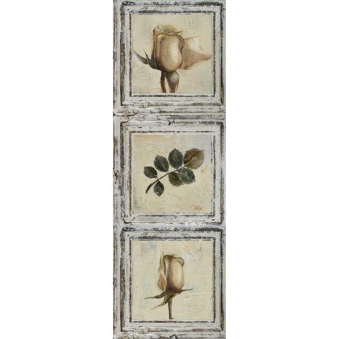 Flowers and Leaves III Black Modern Wood Framed Art Print by Pinto, Patricia