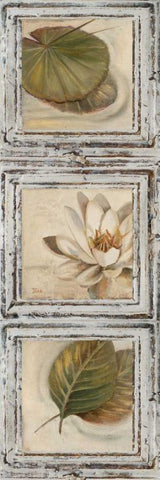 Flowers and Leaves IV Black Ornate Wood Framed Art Print with Double Matting by Pinto, Patricia