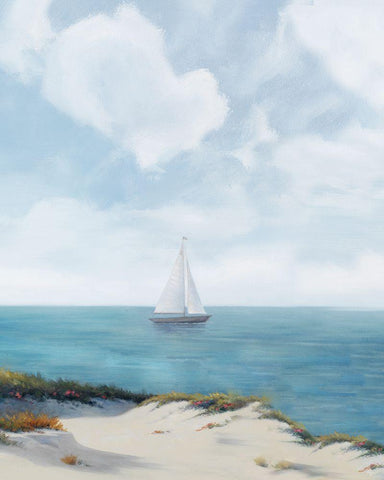 Shoreline Sailing II Black Ornate Wood Framed Art Print with Double Matting by Rhyan, Vivien