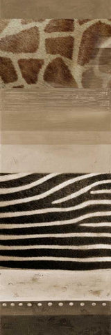 Africa II White Modern Wood Framed Art Print with Double Matting by Pinto, Patricia