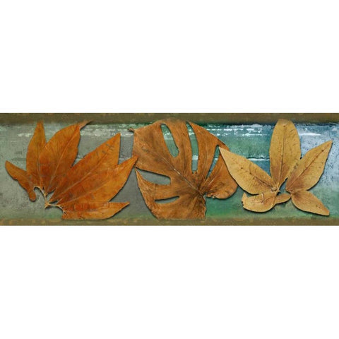 Leaf Panel III Black Modern Wood Framed Art Print with Double Matting by Pinto, Patricia