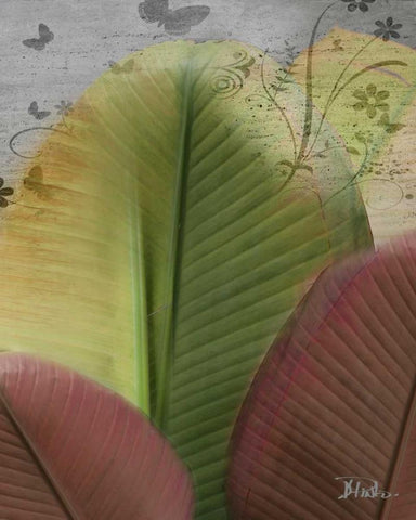 Butterfly Palm I White Modern Wood Framed Art Print with Double Matting by Pinto, Patricia