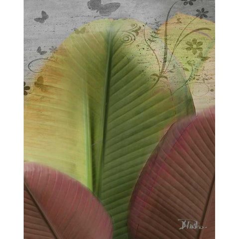 Butterfly Palm I Black Modern Wood Framed Art Print with Double Matting by Pinto, Patricia