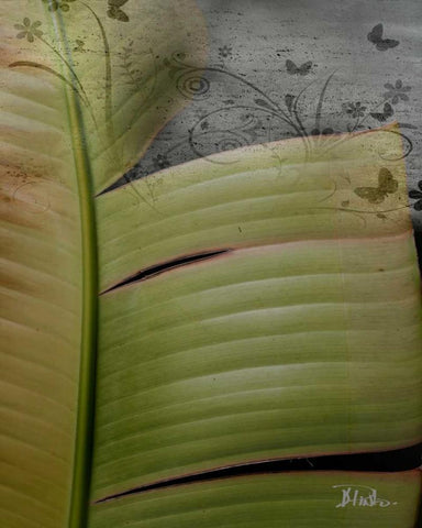 Butterfly Palm II Black Ornate Wood Framed Art Print with Double Matting by Pinto, Patricia