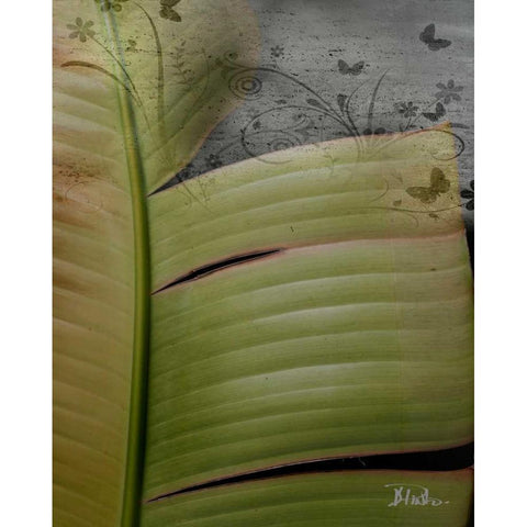 Butterfly Palm II Black Modern Wood Framed Art Print by Pinto, Patricia