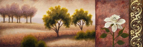 Jarvis I Black Ornate Wood Framed Art Print with Double Matting by Marcon, Michael