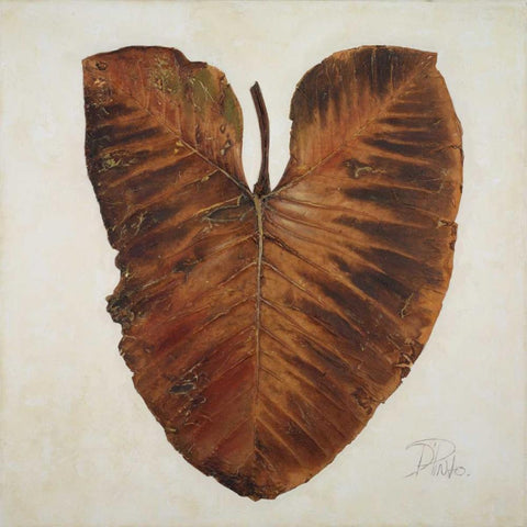 Amazonas I White Modern Wood Framed Art Print with Double Matting by Pinto, Patricia