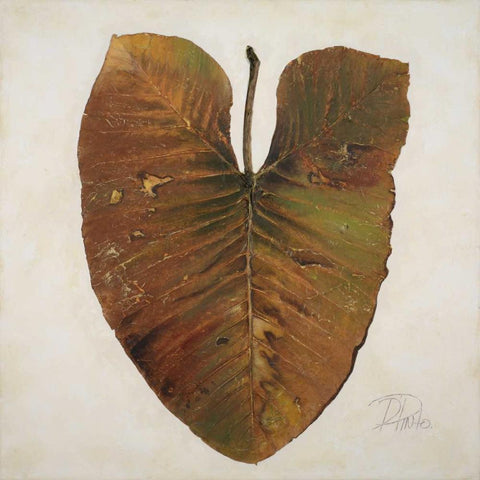 Amazonas II White Modern Wood Framed Art Print by Pinto, Patricia