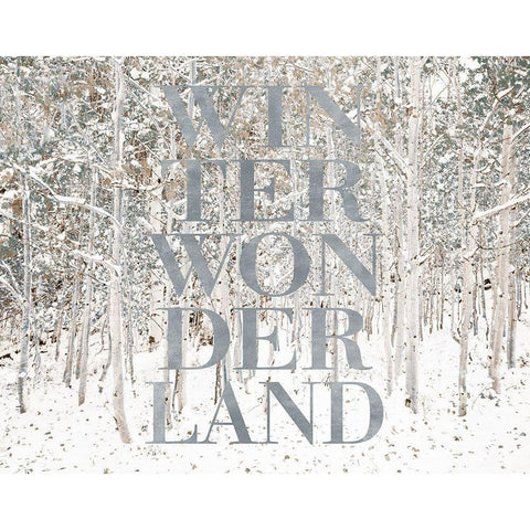 Winter Wonderland Gold Ornate Wood Framed Art Print with Double Matting by Lake, Shelley