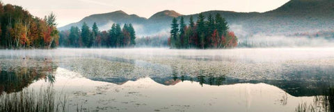 Lefferts Pond Black Ornate Wood Framed Art Print with Double Matting by Lake, Shelley
