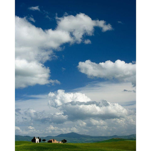 Little House White Modern Wood Framed Art Print by Lake, Shelley
