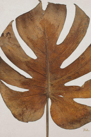 Dry Balazo I White Modern Wood Framed Art Print with Double Matting by Pinto, Patricia