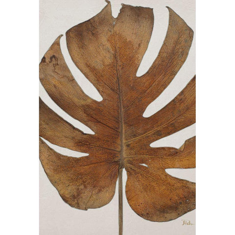 Dry Balazo I Black Modern Wood Framed Art Print with Double Matting by Pinto, Patricia