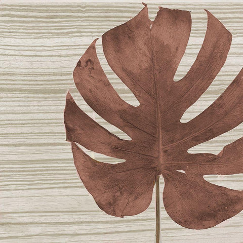 Dry Balazo on Fabric I Black Modern Wood Framed Art Print with Double Matting by Pinto, Patricia