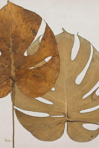 Dry Balazo II White Modern Wood Framed Art Print with Double Matting by Pinto, Patricia