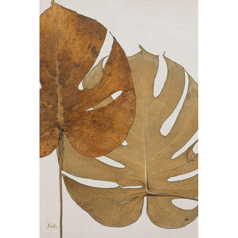 Dry Balazo II Black Modern Wood Framed Art Print by Pinto, Patricia