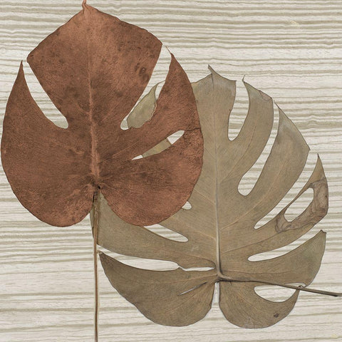 Dry Balazo on Fabric II Black Ornate Wood Framed Art Print with Double Matting by Pinto, Patricia