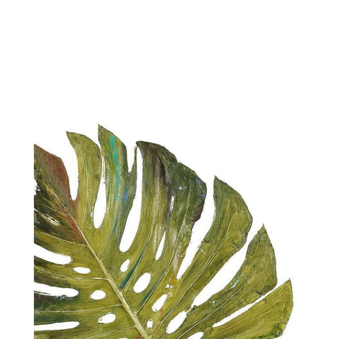 Partial Palm I Black Modern Wood Framed Art Print with Double Matting by Pinto, Patricia