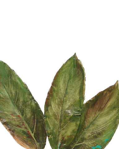 Partial Palm III White Modern Wood Framed Art Print with Double Matting by Pinto, Patricia