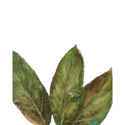 Partial Palm III Black Modern Wood Framed Art Print by Pinto, Patricia