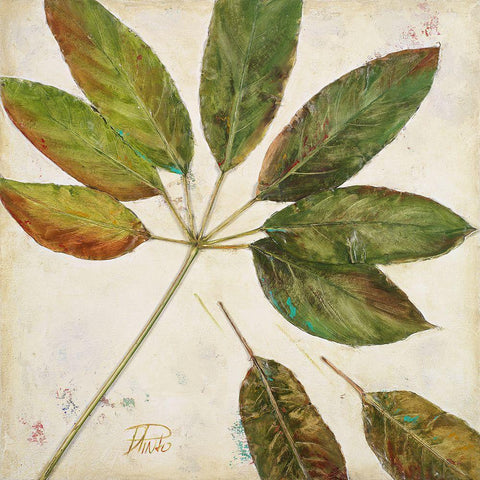 Organic III Black Modern Wood Framed Art Print with Double Matting by Pinto, Patricia