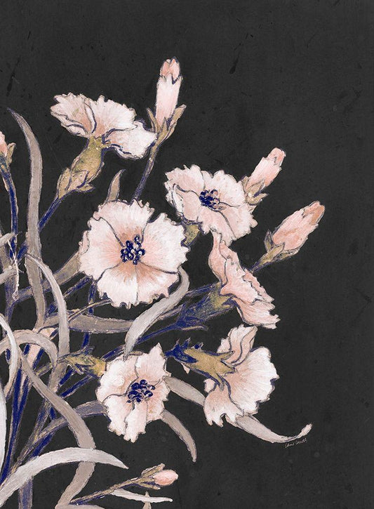 Image Only