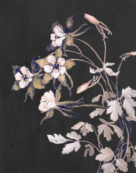 Image Only