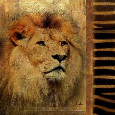 Elegant Safari IV  - Lion Gold Ornate Wood Framed Art Print with Double Matting by Pinto, Patricia