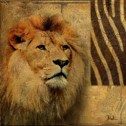 Elegant Safari II (Lion) White Modern Wood Framed Art Print with Double Matting by Pinto, Patricia