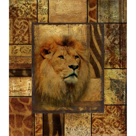 Decorative Safari II (Lion) White Modern Wood Framed Art Print by Pinto, Patricia