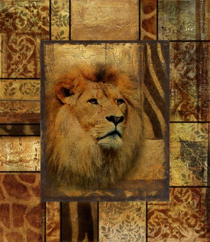 Decorative Safari II (Lion) White Modern Wood Framed Art Print with Double Matting by Pinto, Patricia
