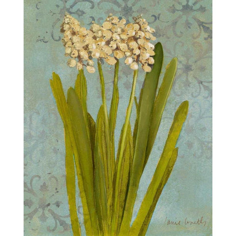 Hyacinth on Teal II Black Modern Wood Framed Art Print with Double Matting by Loreth, Lanie