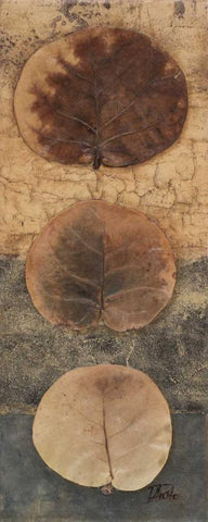 Eco-logic I Black Ornate Wood Framed Art Print with Double Matting by Pinto, Patricia