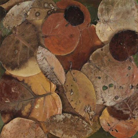 Scattered Leaves I Black Modern Wood Framed Art Print by Pinto, Patricia