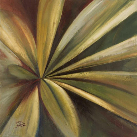 Abanico I White Modern Wood Framed Art Print by Pinto, Patricia