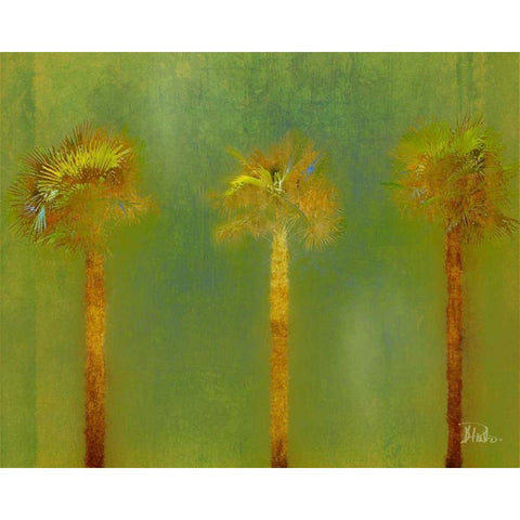 Three Palms II Black Modern Wood Framed Art Print by Pinto, Patricia