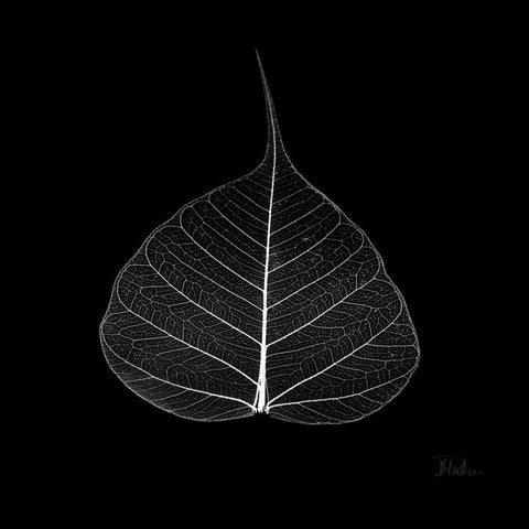 Minimalism in Black I Black Modern Wood Framed Art Print by Pinto, Patricia