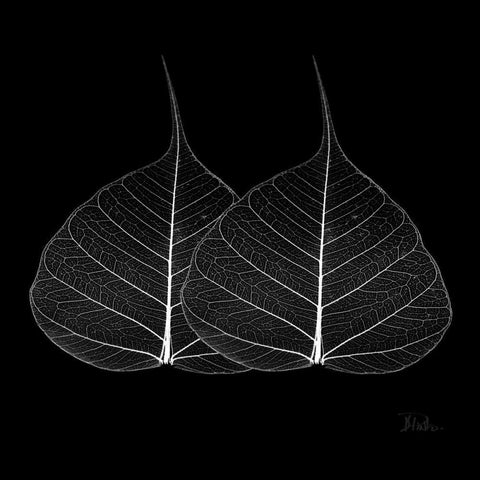 Minimalism in Black II White Modern Wood Framed Art Print with Double Matting by Pinto, Patricia