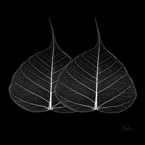 Minimalism in Black II Black Modern Wood Framed Art Print by Pinto, Patricia