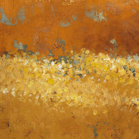 Flower Fields II White Modern Wood Framed Art Print with Double Matting by Loreth, Lanie