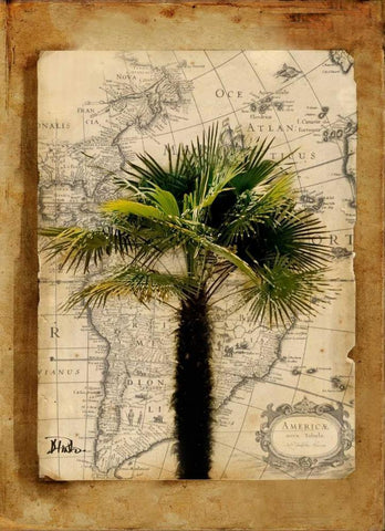 America II Black Ornate Wood Framed Art Print with Double Matting by Pinto, Patricia