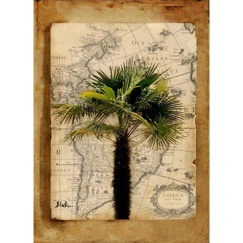 America II Black Modern Wood Framed Art Print by Pinto, Patricia