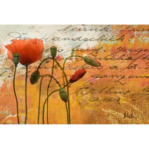 Poppies Composition I Black Modern Wood Framed Art Print by Pinto, Patricia