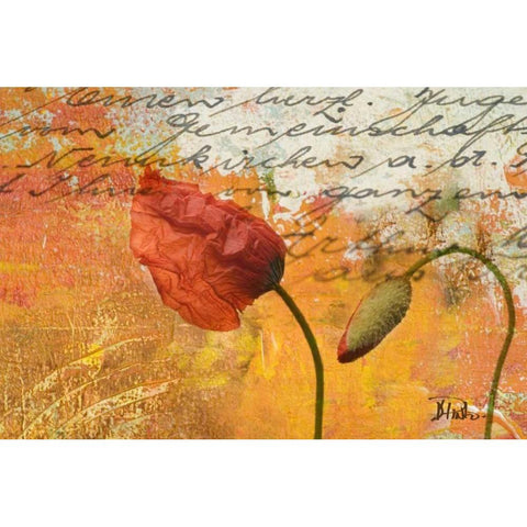Poppies Composition II Black Modern Wood Framed Art Print with Double Matting by Pinto, Patricia