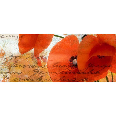 Poppies Composition III White Modern Wood Framed Art Print by Pinto, Patricia