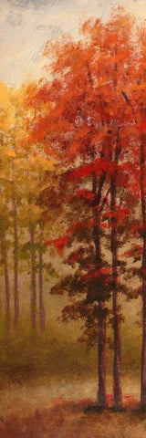 Fall Trees II White Modern Wood Framed Art Print with Double Matting by Marcon, Michael