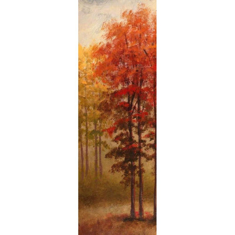 Fall Trees II White Modern Wood Framed Art Print by Marcon, Michael